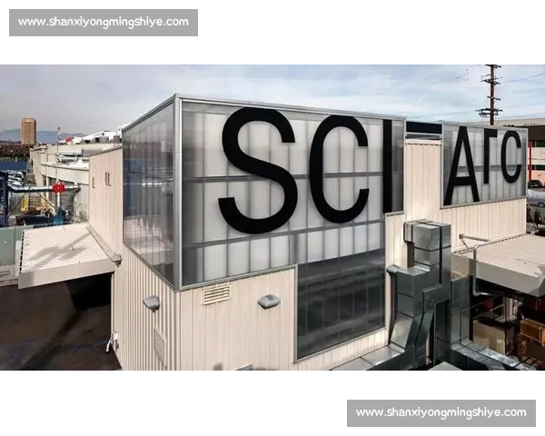 全面解析不同住宿选择的优缺点及最佳选择指南