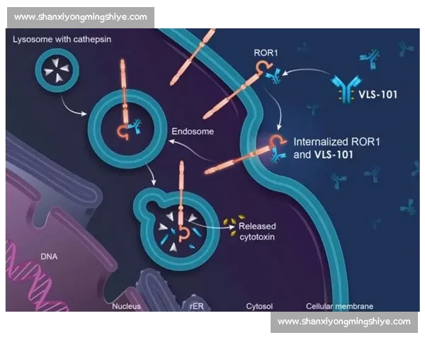 基于眩晕控制的最新临床研究进展与治疗方法探讨 基于眩晕控制的最新临床研究进展与治疗方法探讨